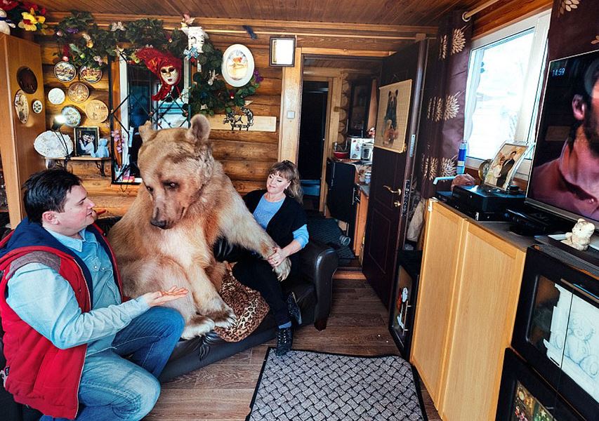 Orphaned bear cub finds a loving home with dedicated couple for over 23 years 8