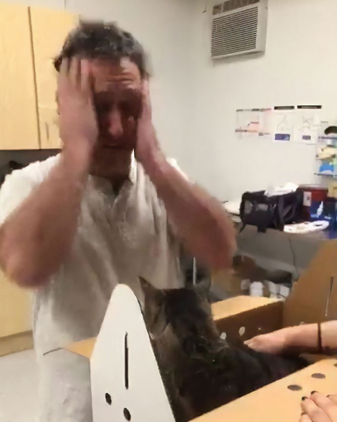 After being missing for 7 years, a man has been reunited with his 19-year-old cat 1