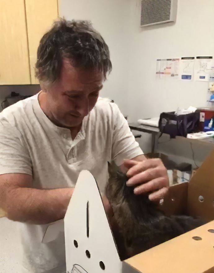 After being missing for 7 years, a man has been reunited with his 19-year-old cat 2