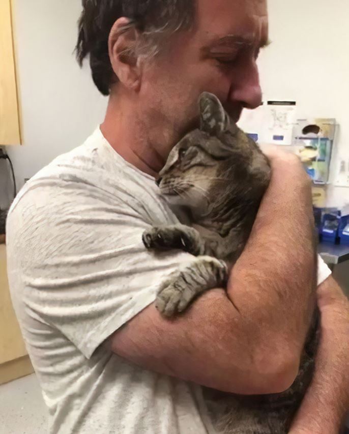 After being missing for 7 years, a man has been reunited with his 19-year-old cat 5