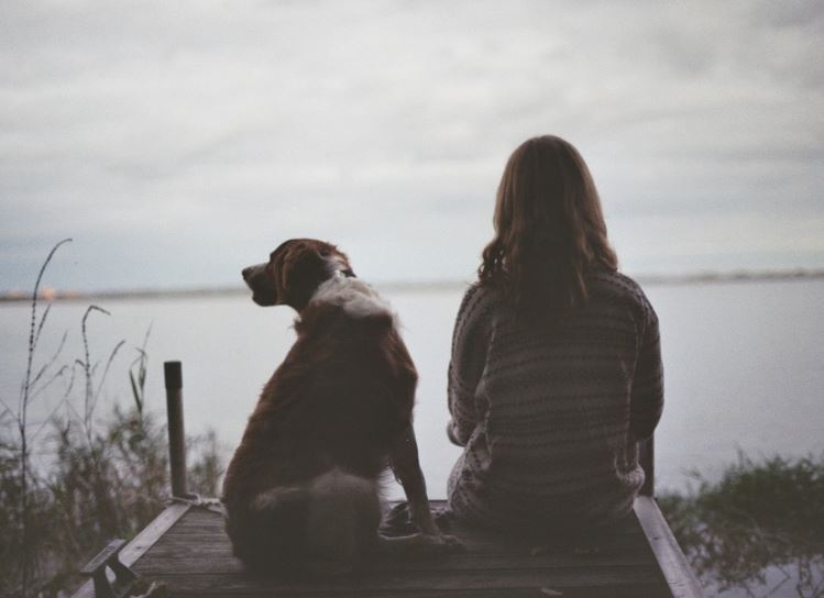 An old dog bid farewell to its owner before leaving home to find a place to...pass away 4