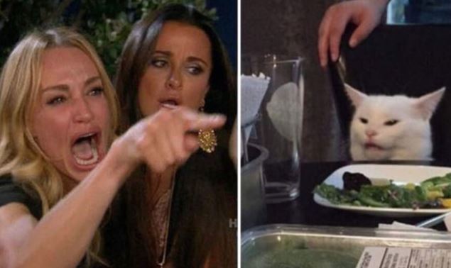 Meet the white cat Smudge gave rise to the viral meme 'woman yelling at a cat' 1