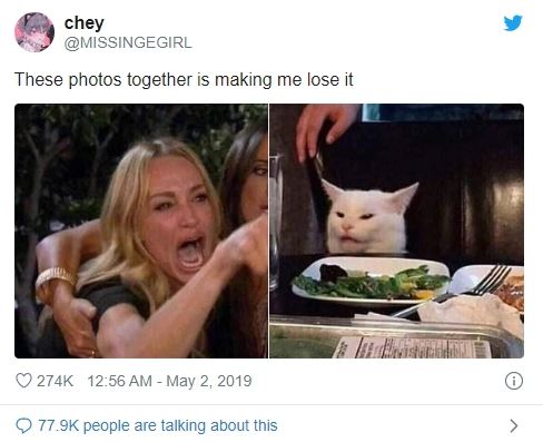 Meet the white cat Smudge gave rise to the viral meme 'woman yelling at a cat' 3