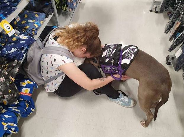 The loyal dog, after saving his mom's life, refuses to leave her side 2