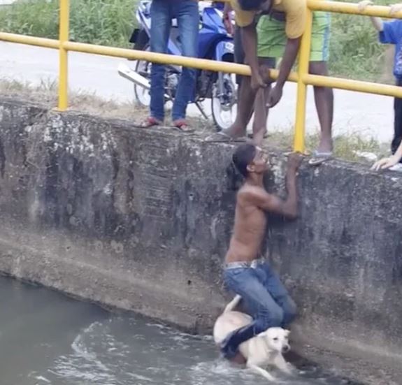 A young man selflessly saves a dog struggling in the water, touching many people's hearts 1