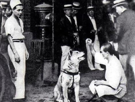 Hachiko waits patiently for his deceased owner at Shibuya Station, Tokyo