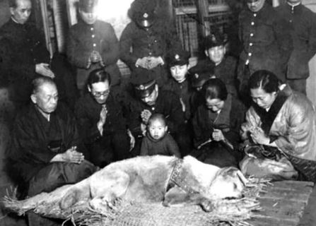 Hachiko's last moment. Perhaps, he will meet his master somewhere in heaven.