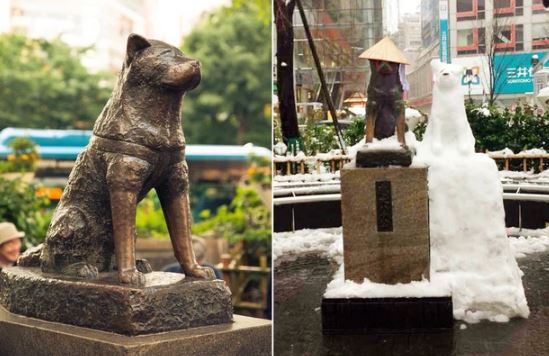 The bronze statue of Hachiko in front of Shibuya Station is still there today.