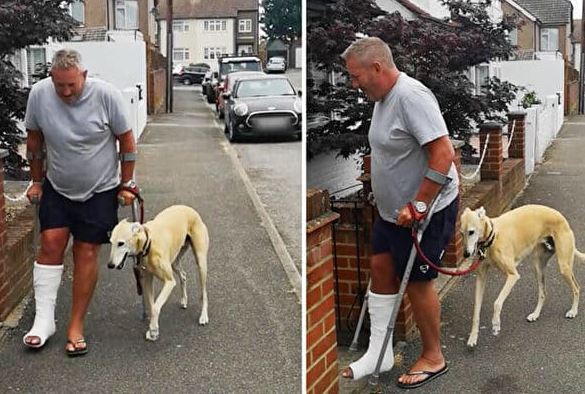 Owner lost £300 after his dog pretended to be lame and imitated owner's broken leg 4