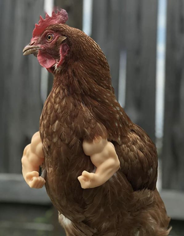 Amusing to see the muscular chicken wearing doll arm 5