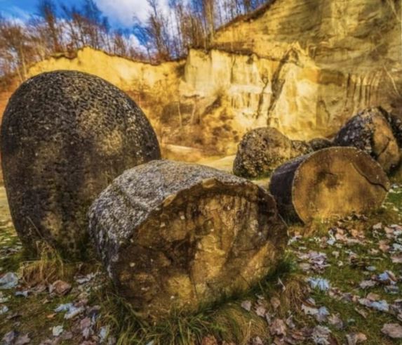 Mystery of 'living' rock that can grow, reproduce and move 2