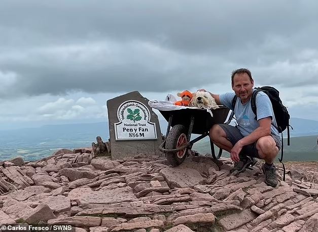 The man transported his dying dog up his favorite mountain for the last time using a wheelbarrow 1