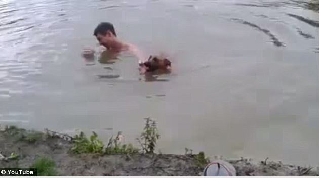Man pretends to be drowning to 'test' his pet dog, and the pet's behavior surprises him! 5
