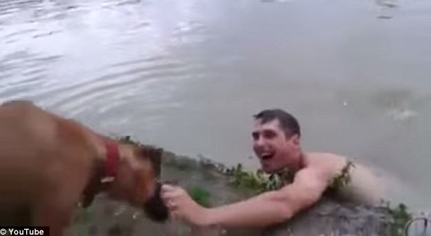 Man pretends to be drowning to 'test' his pet dog, and the pet's behavior surprises him! 6