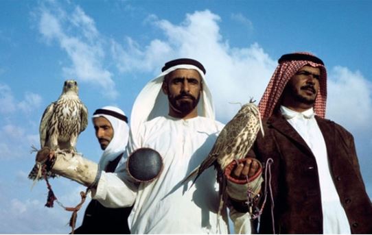 Saudi prince buys first class flight ticket for 80 falcons 5