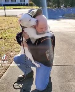 A newly adopted pitbull is ecstatic to have found a new family 2