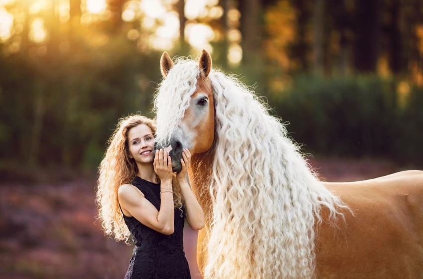 The horse has a beautiful mane, flowing like the long hair of princess Rapunzel in the clouds. 1