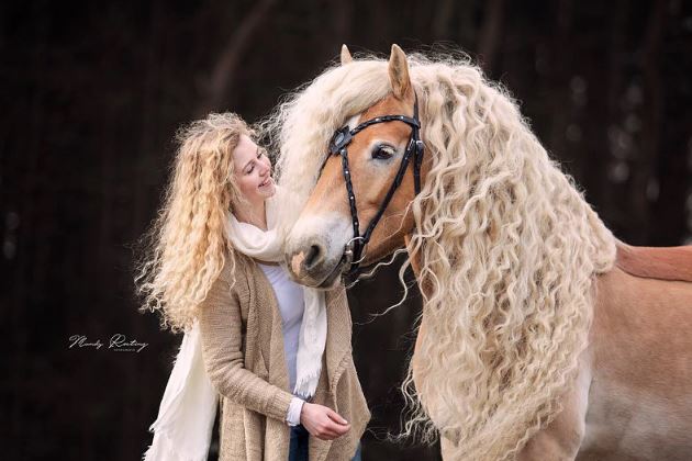 The horse has a beautiful mane, flowing like the long hair of princess Rapunzel in the clouds. 3