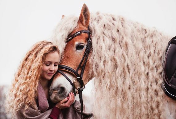 The horse has a beautiful mane, flowing like the long hair of princess Rapunzel in the clouds. 5