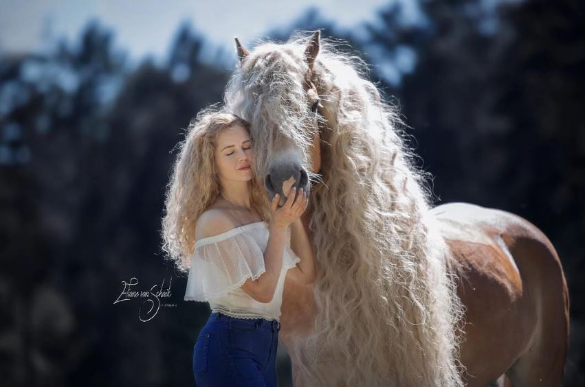 The horse has a beautiful mane, flowing like the long hair of princess Rapunzel in the clouds. 9