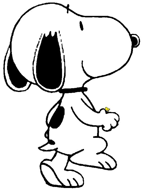 Snoopy is real! Meet Bailey, Snoopy's twin brother in real life! 3