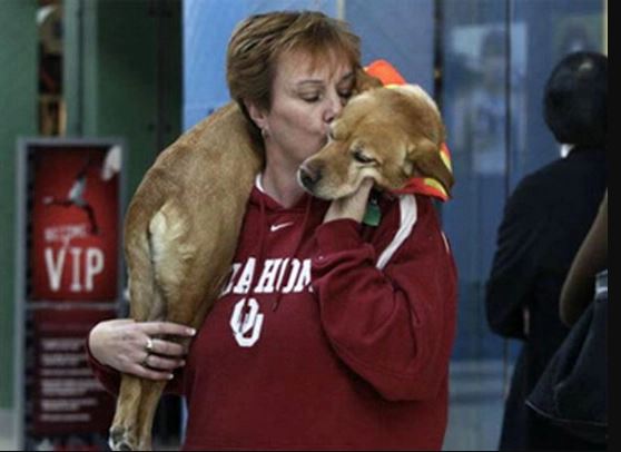 Remembering Faith: The amputee dog who inspired wounded soldiers to overcome their disabilities 2