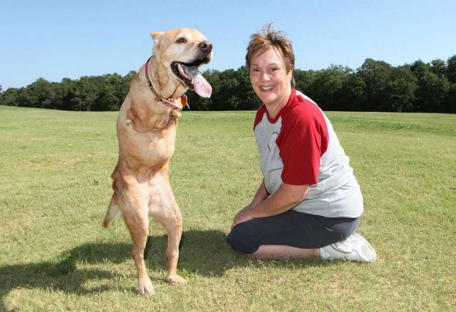 Remembering Faith: The amputee dog who inspired wounded soldiers to overcome their disabilities 11