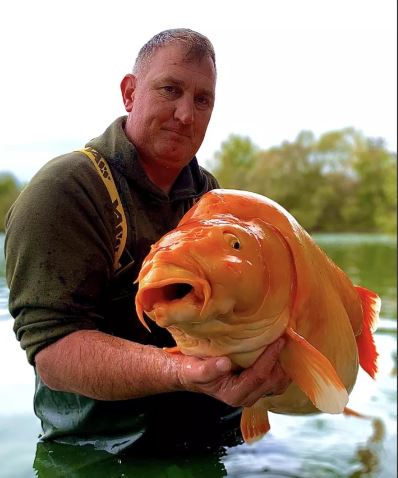 Fishermen catch a giant 'golden carp' weighing as much as a 10-year-old child 2