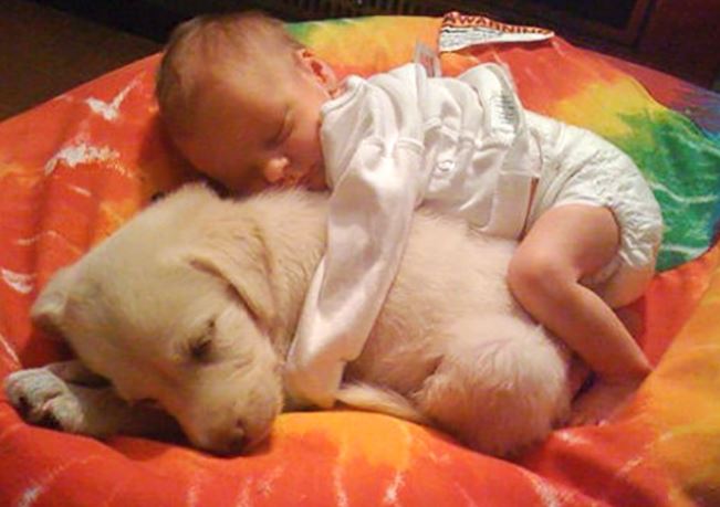 The joy of childhood: 16 heartwarming photos showing why kids need dogs in their lives 1