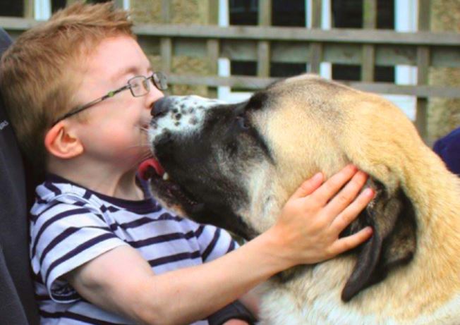 The joy of childhood: 16 heartwarming photos showing why kids need dogs in their lives 3