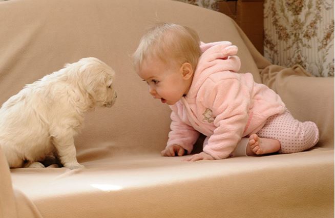 The joy of childhood: 16 heartwarming photos showing why kids need dogs in their lives 4