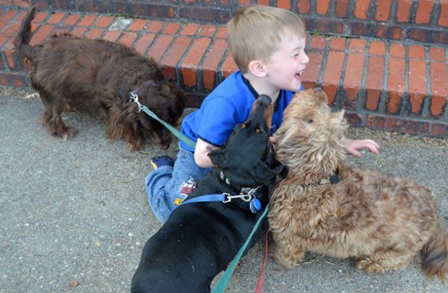The joy of childhood: 16 heartwarming photos showing why kids need dogs in their lives 6