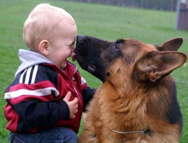 The joy of childhood: 16 heartwarming photos showing why kids need dogs in their lives 7