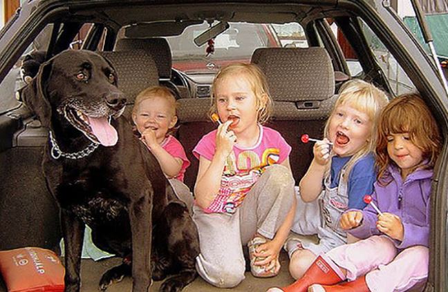 The joy of childhood: 16 heartwarming photos showing why kids need dogs in their lives 10