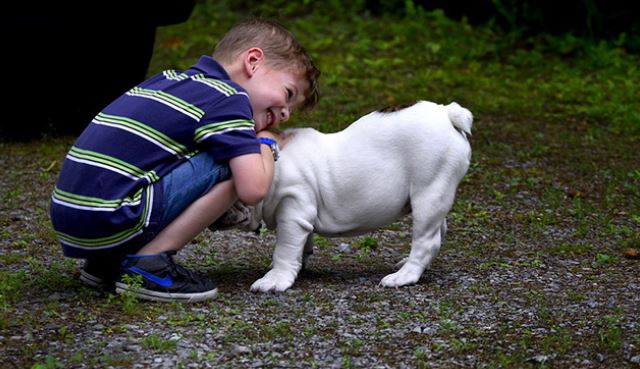 The joy of childhood: 16 heartwarming photos showing why kids need dogs in their lives 11