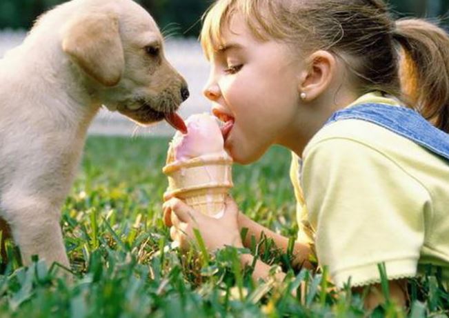 The joy of childhood: 16 heartwarming photos showing why kids need dogs in their lives 13