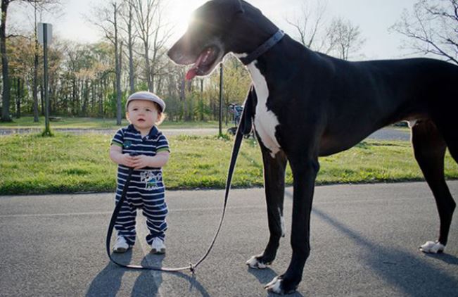 The joy of childhood: 16 heartwarming photos showing why kids need dogs in their lives 14