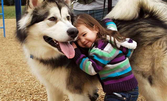 The joy of childhood: 16 heartwarming photos showing why kids need dogs in their lives 16