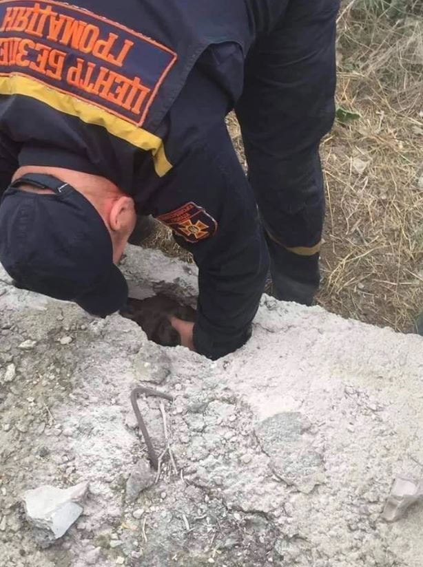 Breathless, rescue of a cat stuck in a narrow concrete pipe 10