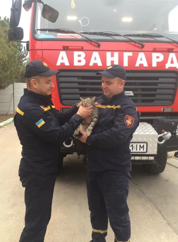 Breathless, rescue of a cat stuck in a narrow concrete pipe 12