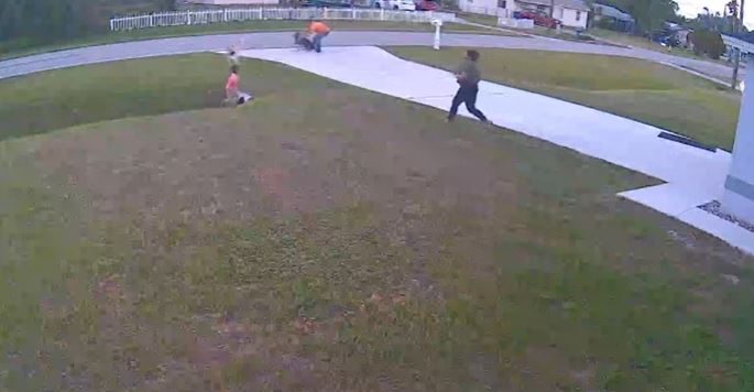 Dramatic moment dog rushes to save baby from horrific attack 4