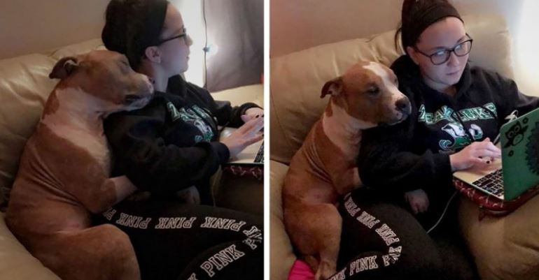 Grateful adopted dog can't stop hugging new owner from the shelter 1
