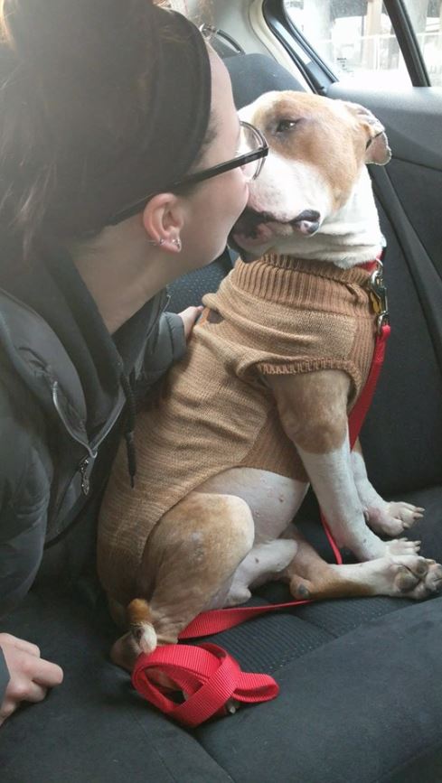 Grateful adopted dog can't stop hugging new owner from the shelter 4