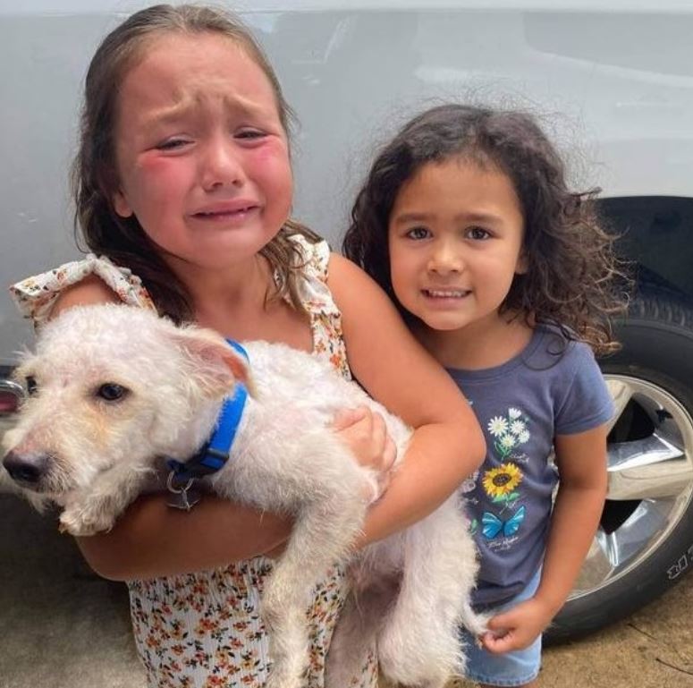 Little girl can't hold back tears of joy when her lost dog is finally found 2
