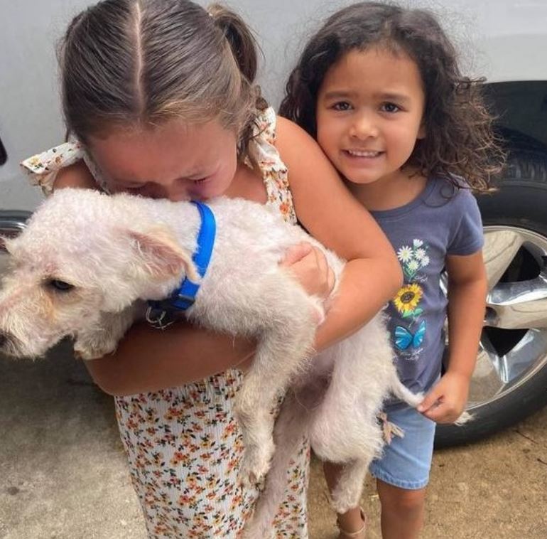 Little girl can't hold back tears of joy when her lost dog is finally found 3