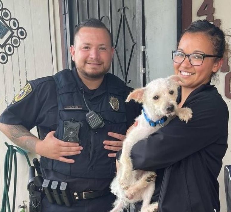 Little girl can't hold back tears of joy when her lost dog is finally found 4