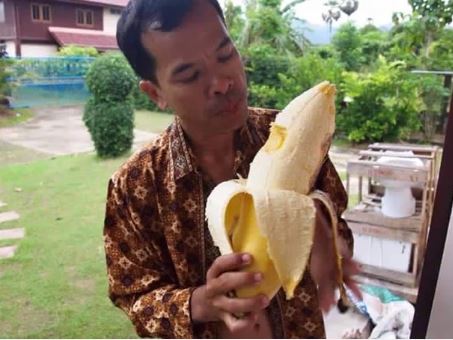 Giant banana the size of a human calf in Papua New Guinea. Image Credits: Internet