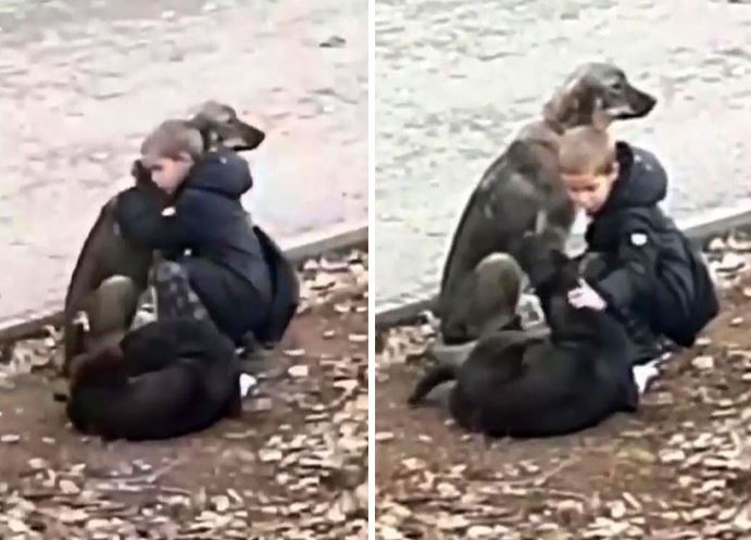 Sweet child hugs abandoned dogs when he thought no one was looking 1