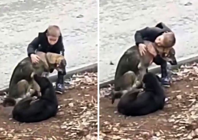 Sweet child hugs abandoned dogs when he thought no one was looking 3