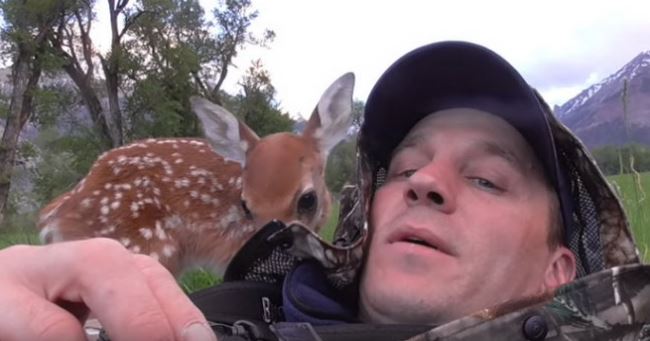 Touching the attached baby deer refuses to go away from the man who saved her life! 3